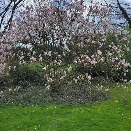 Le Charme Normand Feriehus